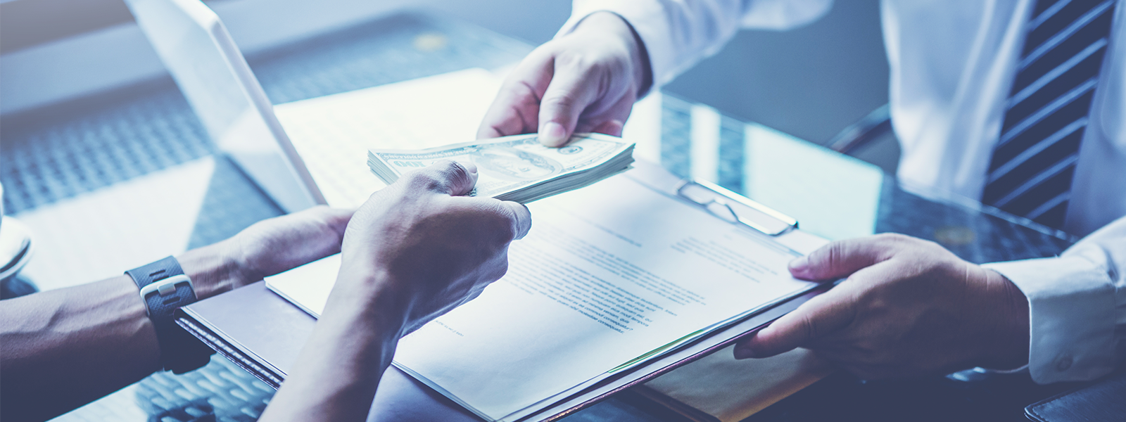 everything you need to know