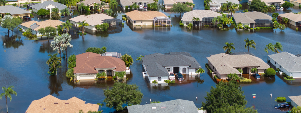 how-natural-disasters